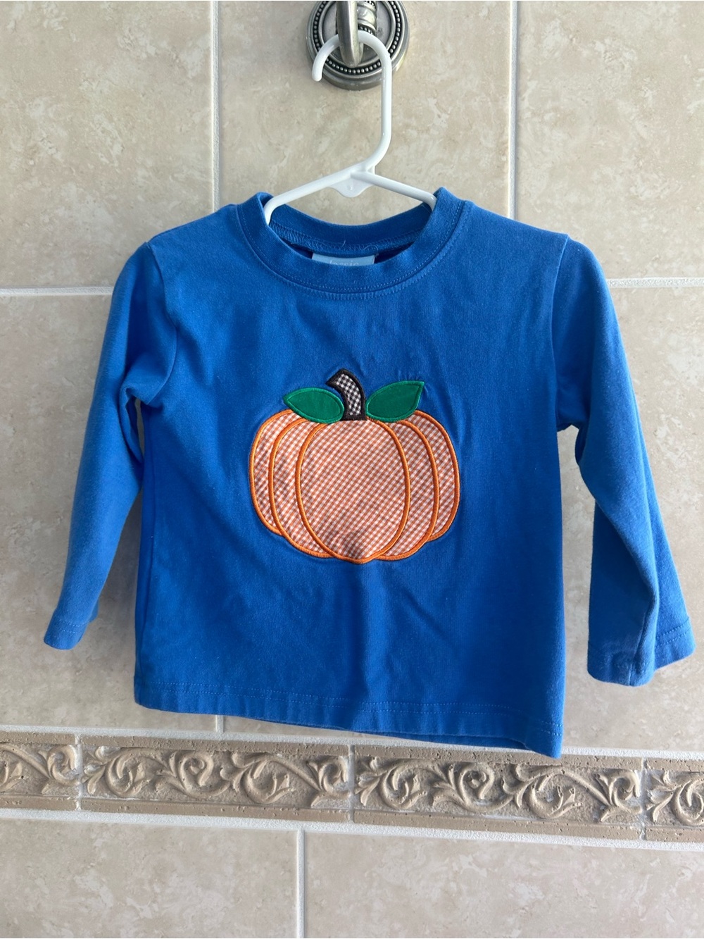 Classic Whimsy pumpkin Appliqué Shirt